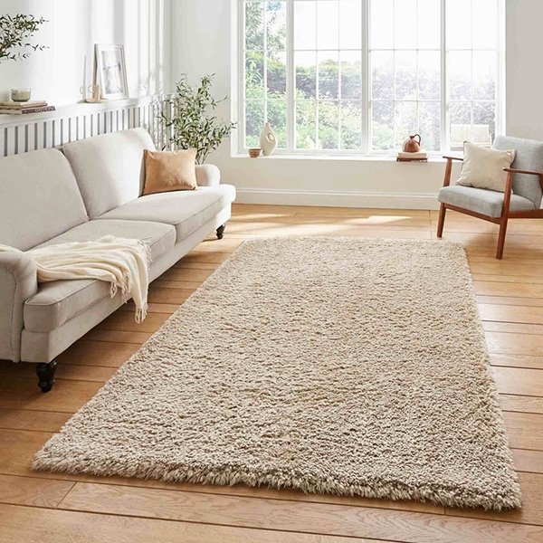 Shaggy Rugs